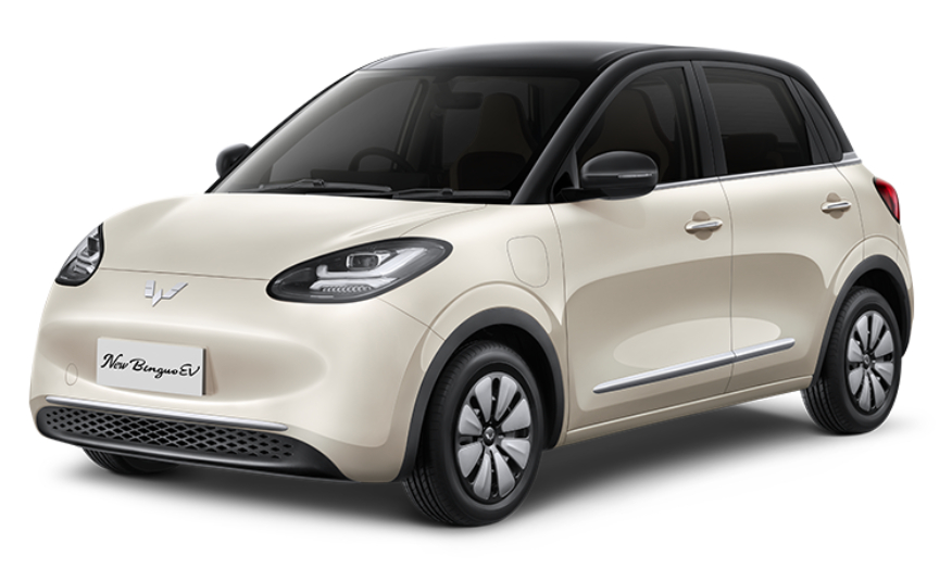 Wuling New BinguoEV Pro