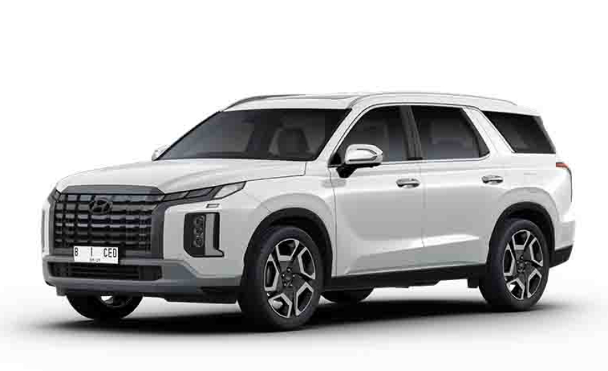 NEW PALISADE SIGNATURE